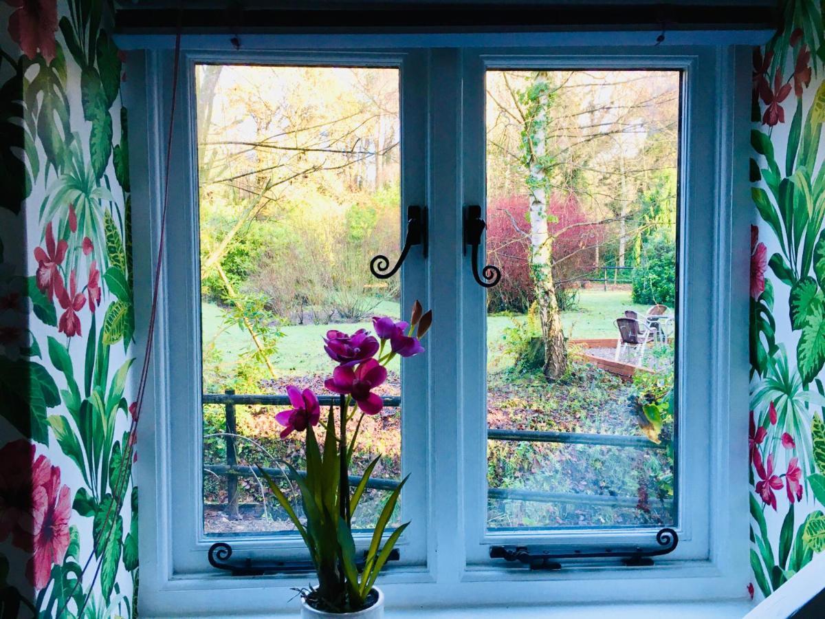 Aylmerton Felbrigg Lodge Bed And Breakfast מראה חיצוני תמונה